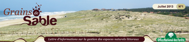 Investissez-dans-une-lettre-numerique-pour-creer-du-lien-regulier